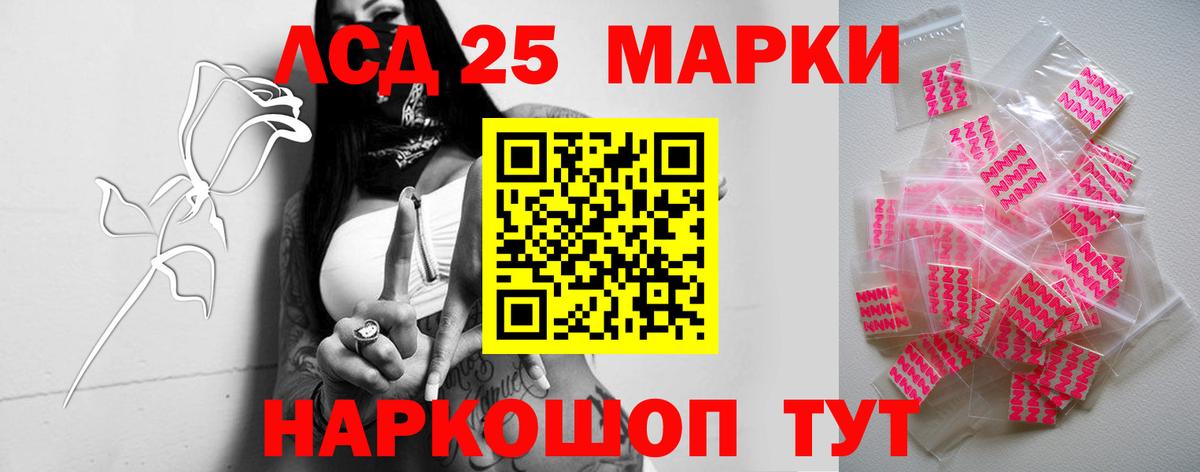 Новозыбков  ЛСД экстази кислота  Лсд 25 экстази  Вход с VPN 