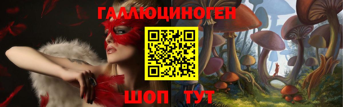 Новозыбков  Галлюциногенные грибы ЛСД  Вход с VPN 